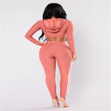 Autumn And Winter pink women tracksuit Sexy Exercise 2 piece woman set Ladies New Style pink women sweat suits