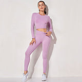 Pastel Seamless Two-Piece Yoga Bodysuit Long Sleeve Suit