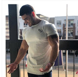 Verano Masculino Fitness Shirts - Multi Variants